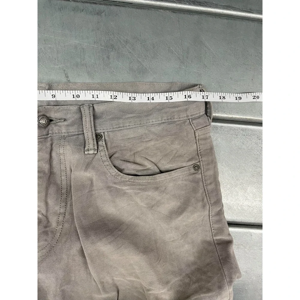 Levis levis 511
